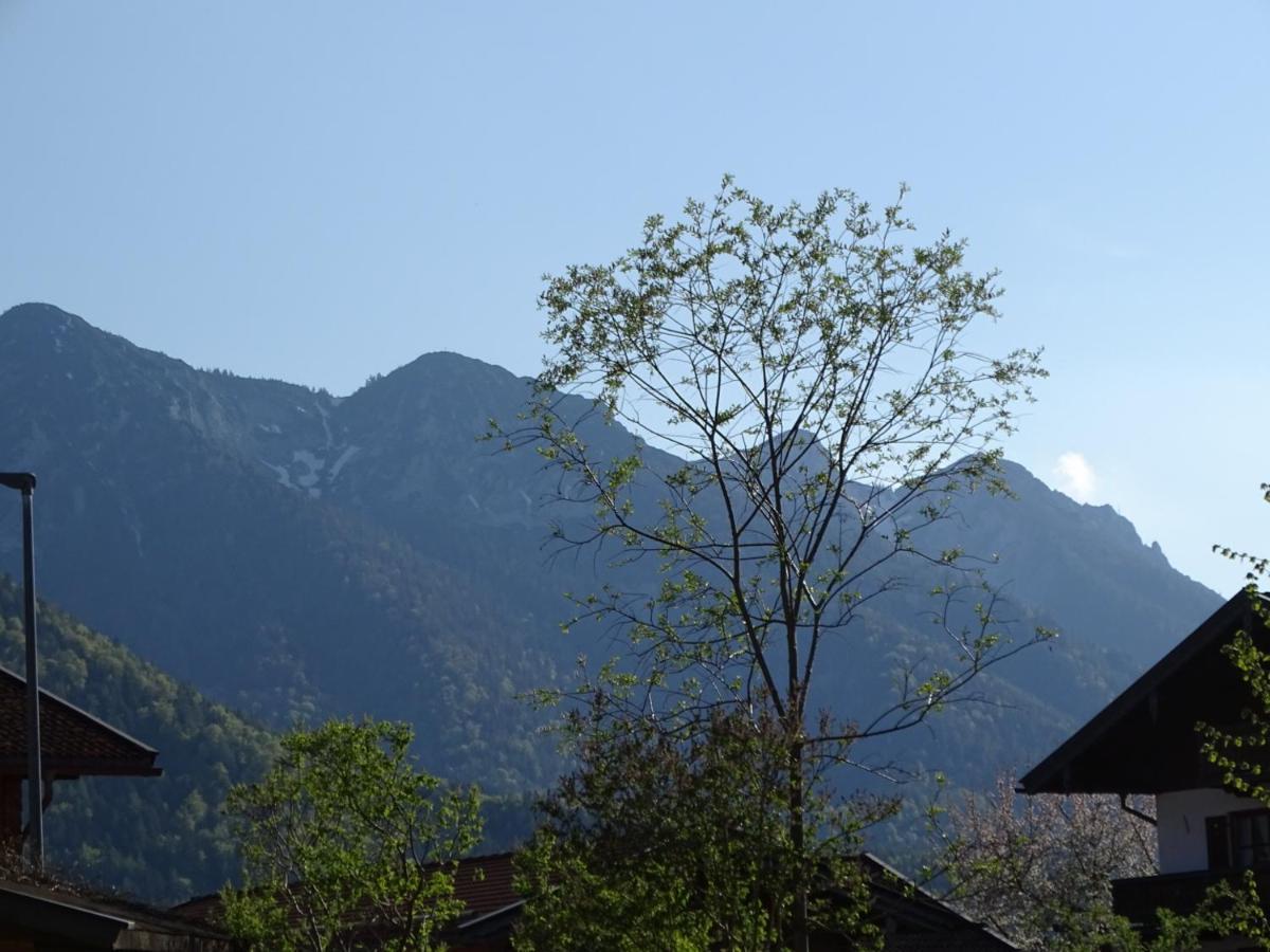 Ferienwohnung Anna Inzell Buitenkant foto